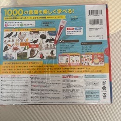 新品はじめてずかん1000の画像