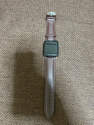 Apple Watch SE 第1世代