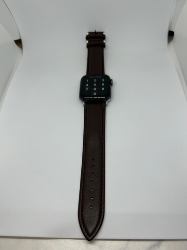 Apple Watch SE 第1世代