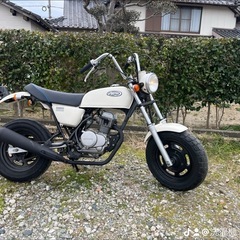 HONDAエイプ50の画像