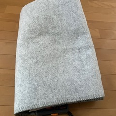 電気カーペットの画像