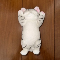 猫　スクイーズの画像