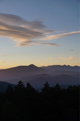 cape town  Aesop 香水