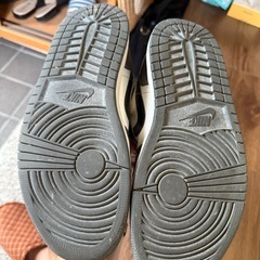 Nike Air Jordan 25.5の画像