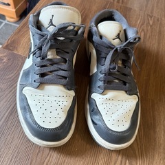 Nike Air Jordan 25.5の画像