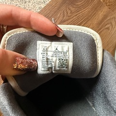 Nike Air Jordan 25.5の画像