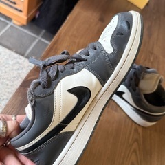Nike Air Jordan 25.5の画像