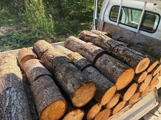 白老町　薪　玉切丸太　約30cm　広葉樹ミックス　1立米  未乾燥　2025年度①
