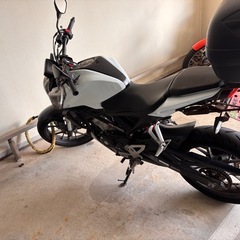 HONDAのＣＢ１２５R⭐︎低走行3100Kmの画像
