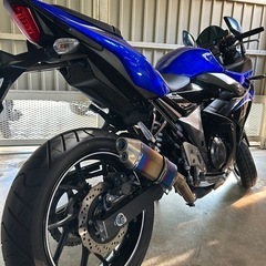 GSX250Rの画像