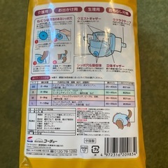 犬猫用オムツの画像