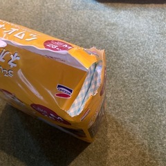 犬猫用オムツの画像