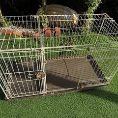 犬、猫ケージの画像