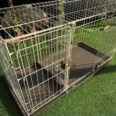 犬、猫ケージの画像