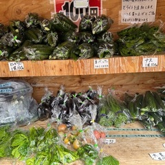 朝取立て　野菜の画像