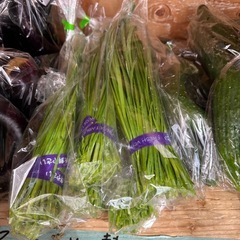 朝取立て　野菜の画像