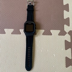 ザ・ゴルフウォッチ　ノルムII
の画像