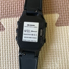 ザ・ゴルフウォッチ　ノルムII
の画像