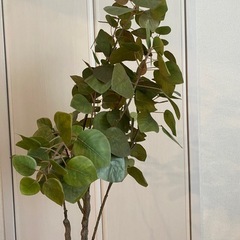 フェイクグリーン（人工観葉植物）の画像