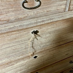 桐箪笥　桐タンス　鍵付き　アンティーク　レトロの画像