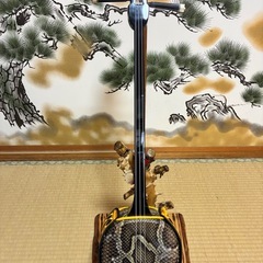 沖縄三線！新品！！貴重！知念大工型！本蛇皮！本張り！【一枚張り】⑰の画像