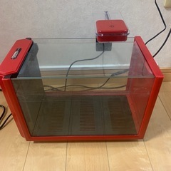 小さい水槽の画像