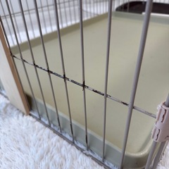 【引渡予定のため締切中】ペット用ケージ 大型犬・中型犬などの画像