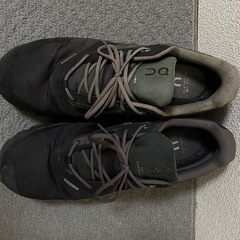 ON Cloudventure Waterproof 27cmの画像