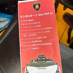 ランボルギーニ　Sian FKP 37の画像