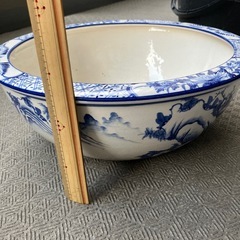 睡蓮鉢の画像