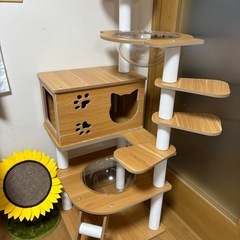 ほぼ新品キャットタワーの画像
