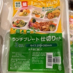 紙皿　仕切り付き　使い捨て　３枚入　8袋　24枚の画像
