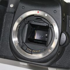 Canon/EOS 50D/ボディ/デジタル一眼レフ ⑥の画像