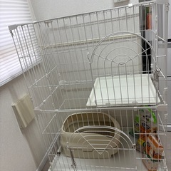 猫　ケージ　セットの画像