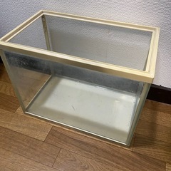 30cm 水槽の画像
