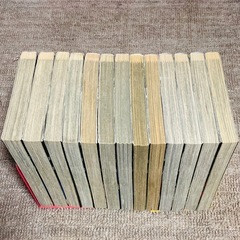 賭博黙示録カイジ 1〜13巻 全巻セットの画像