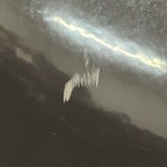 ニトリのスポットライト風ペンダントライト※電球付き【管理番号557】の画像