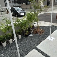 山崎実業「tower」 折畳み物干しの画像