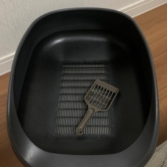 猫 トイレの画像