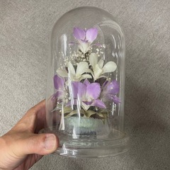 Ever Flower プリザーブドフラワー ドーム型の画像