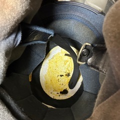 アライ　へるmヘルメットの画像