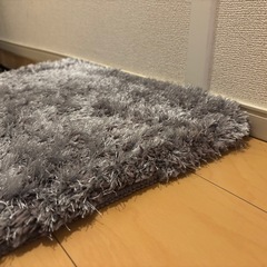 玄関マット50×80の画像