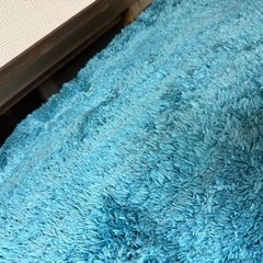 カーペット 絨毯 ラグ 水色の画像