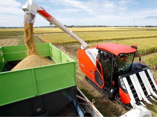 予定終了?令和7年産新米 登米産ひとめぼれ玄米30kg