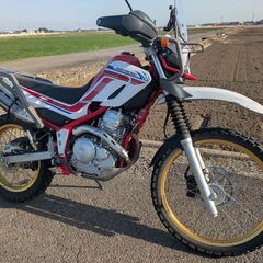 個人出品　ワンオーナー車　栃木発　セロー　ファイナルエディション　オプション多数　SEROW　バイクの画像