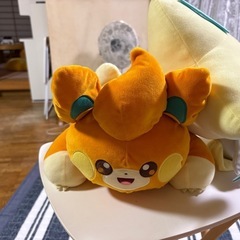 ポケモン
ぬいぐるみの画像