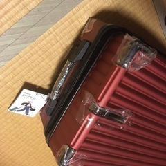 【新品】キャリーケースの画像