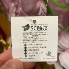 アークフラワースタジオ　胡蝶蘭（造花）の画像