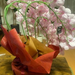 アークフラワースタジオ　胡蝶蘭（造花）の画像