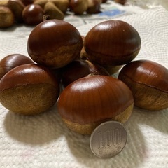 栗　1kg 無農薬　虫止め済（5キロまで可能）の画像